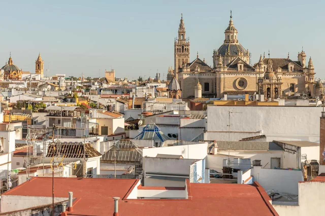Avanti Mirador De Las Setas, Para Disfrutar Sevilla 0*, Seville
